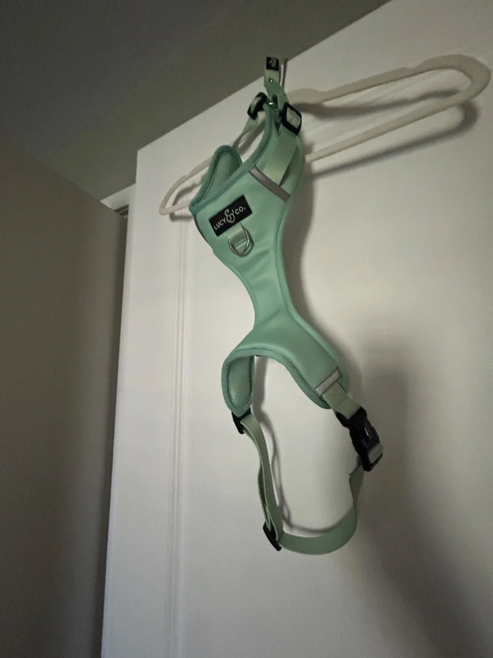 Lucy & co. dog harness